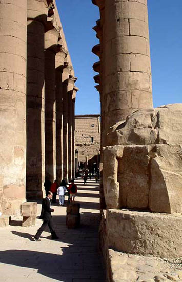 Striding in the sunstripes.